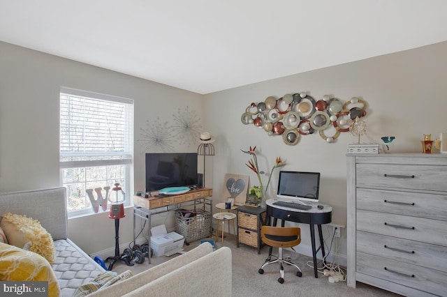 office space featuring baseboards and carpet flooring