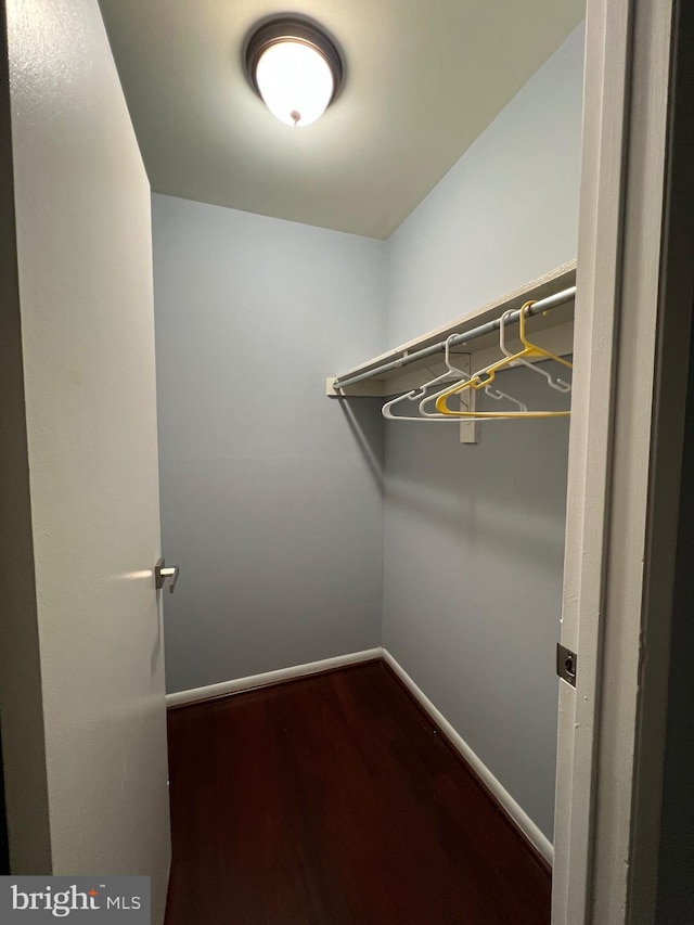 spacious closet featuring dark wood finished floors