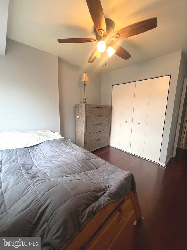 bedroom with dark wood-style floors, ceiling fan, and a closet