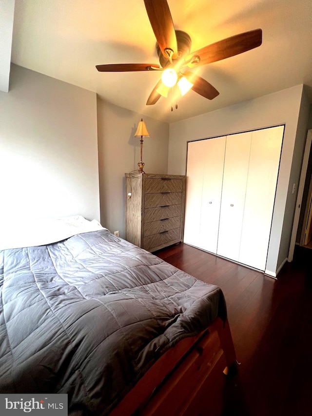 bedroom with dark wood-style floors, ceiling fan, and a closet