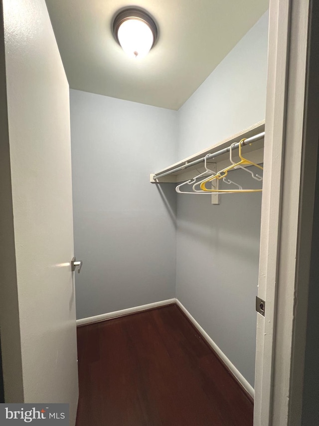 walk in closet with wood finished floors