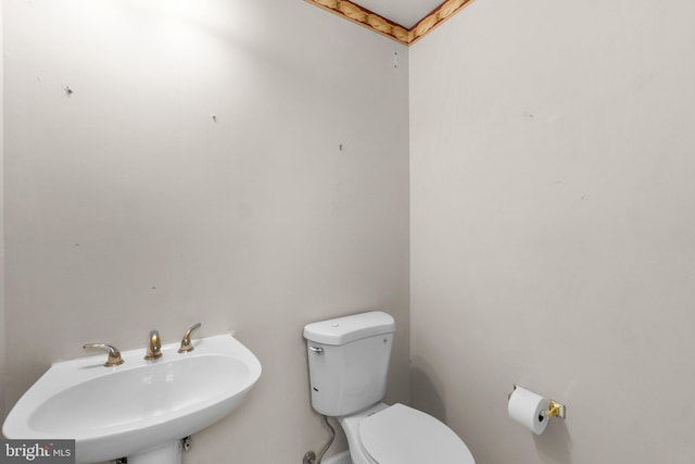 bathroom featuring a sink and toilet