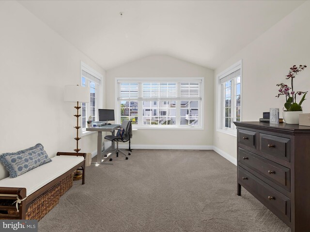 8512 Pine Springs Dr, Severn, MD 21144 - home office with vaulted ceiling, carpet, and baseboards