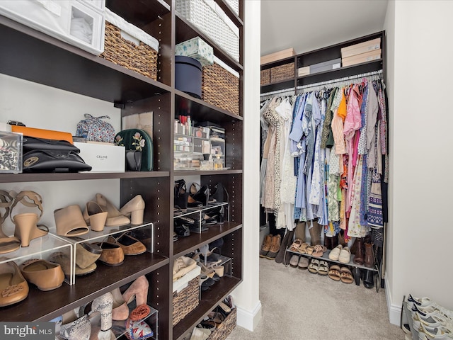 8512 Pine Springs Dr, Severn, MD 21144 - spacious closet with carpet flooring