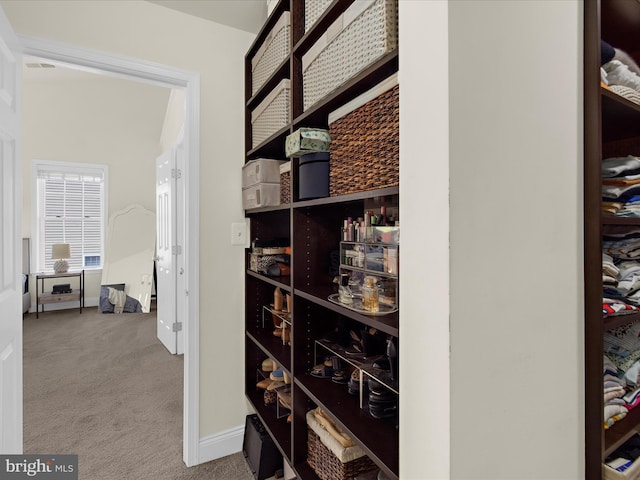 8512 Pine Springs Dr, Severn, MD 21144 - wine area featuring carpet flooring and baseboards