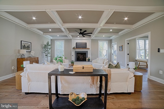 living area with plenty of natural light, wood finished floors, a fireplace, and coffered ceiling