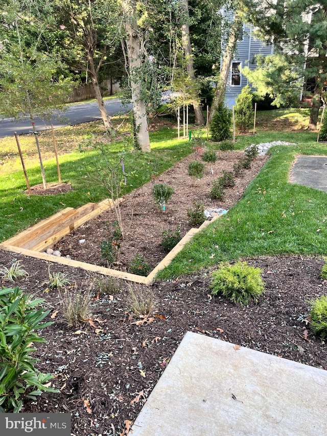 view of yard featuring a garden