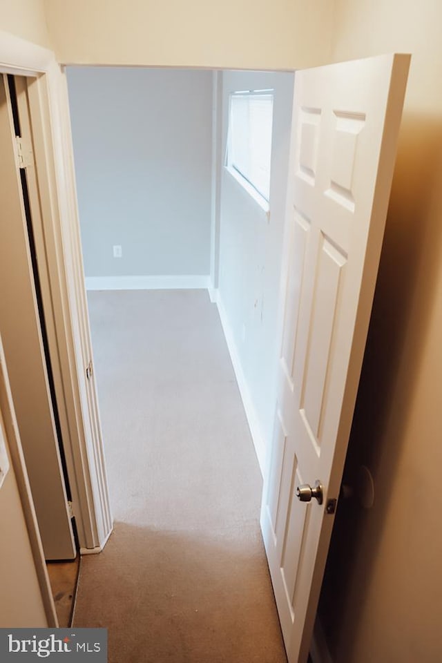 hallway with baseboards and carpet