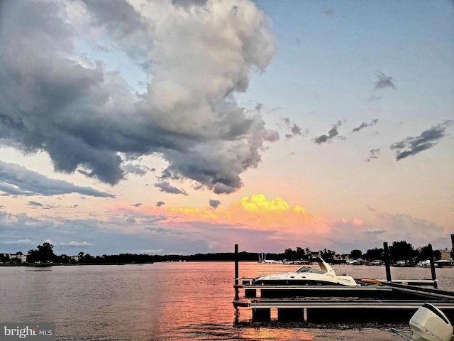 dock area featuring a water view