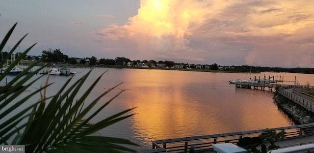 property view of water with a boat dock