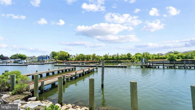 dock area with a water view