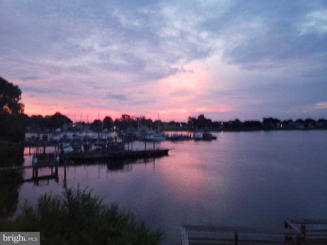 view of water feature with a dock