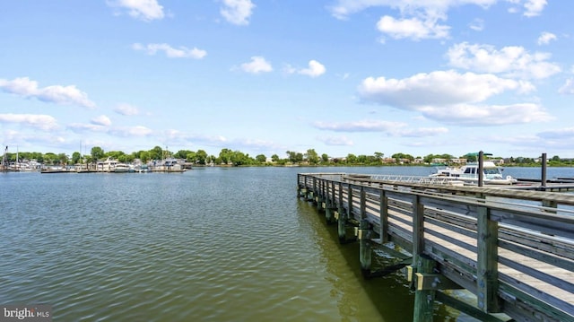 dock area featuring a water view