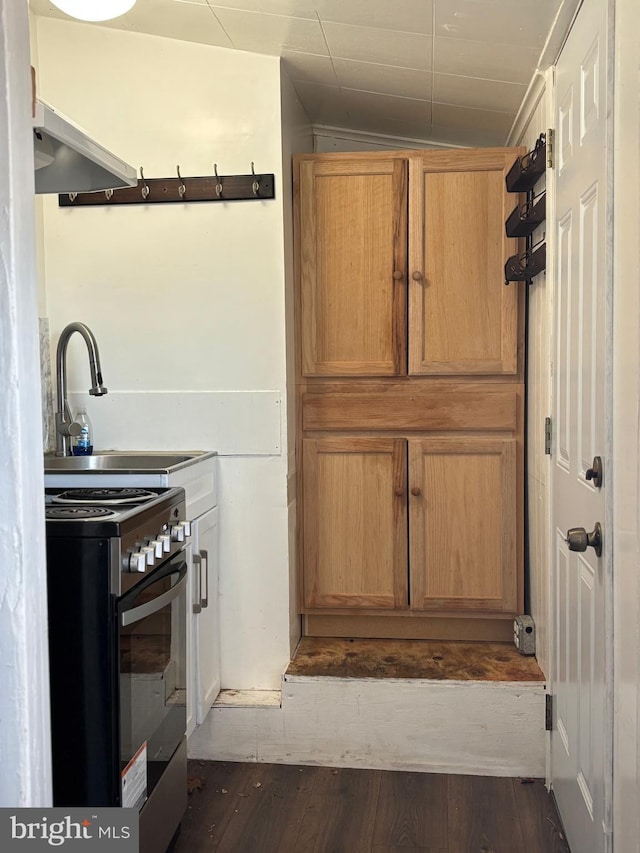 kitchen with stainless steel range with gas cooktop, dark wood finished floors, and a sink