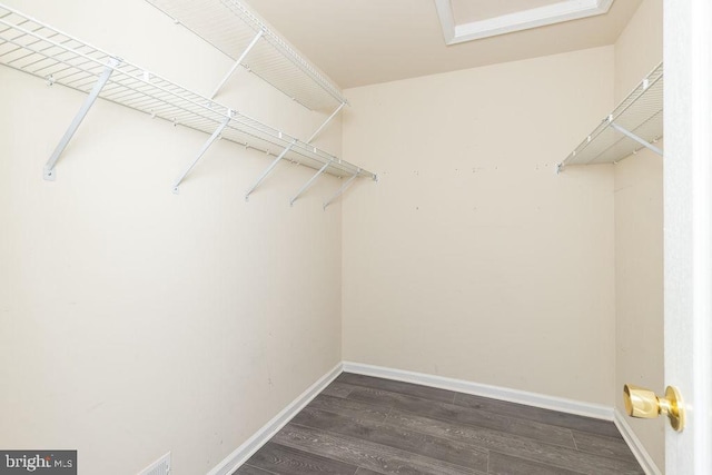 spacious closet featuring wood finished floors