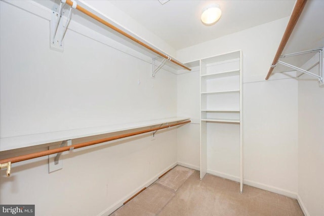 spacious closet featuring light carpet