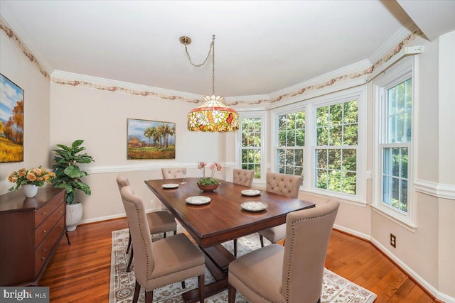 dining room with ornamental molding, wood finished floors, and a healthy amount of sunlight