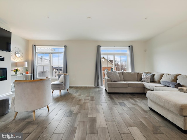 living area featuring plenty of natural light, a glass covered fireplace, and wood tiled floor