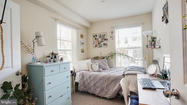 view of carpeted bedroom