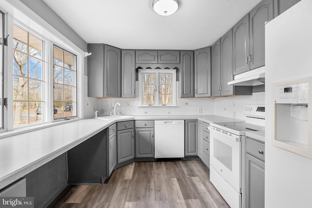 kitchen featuring white appliances, dark wood-style floors, gray cabinetry, under cabinet range hood, and a sink