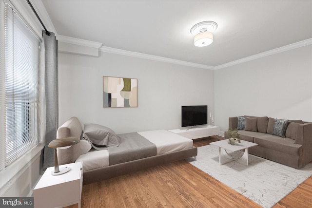 living room featuring crown molding and wood finished floors