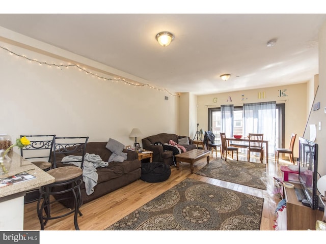 living area with wood finished floors