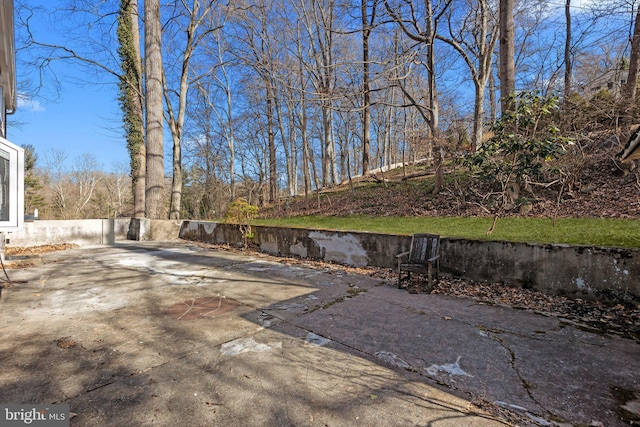 view of yard featuring a patio