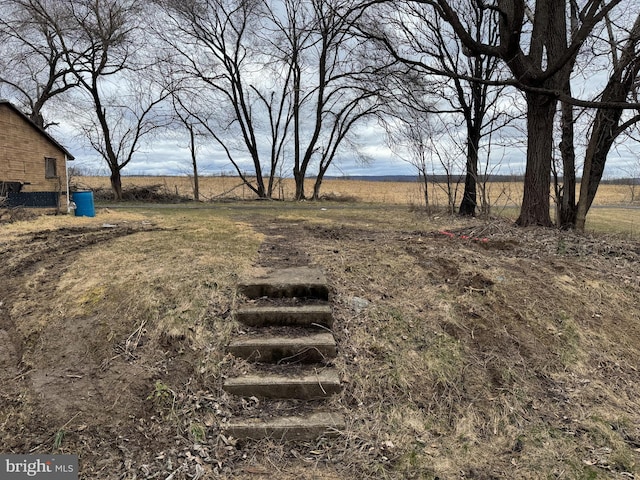 view of yard with a rural view