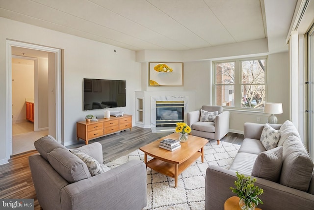 living area featuring a premium fireplace, baseboards, and wood finished floors