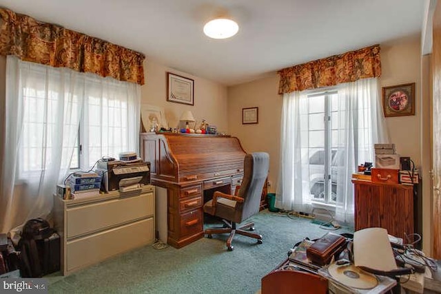 view of carpeted office space