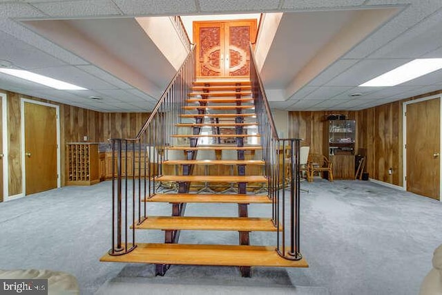 staircase featuring carpet floors, a drop ceiling, and wooden walls