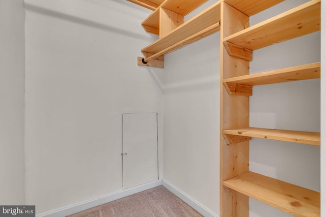 walk in closet with light colored carpet