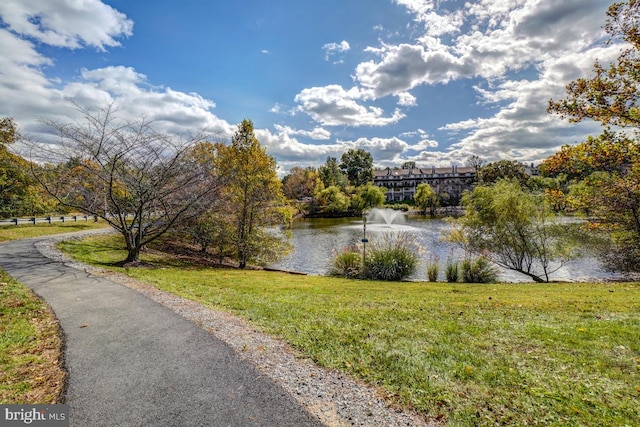 property view of water