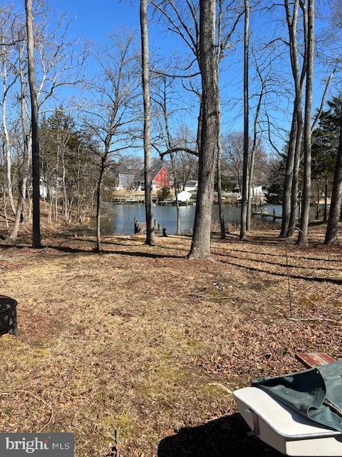 view of yard with a water view