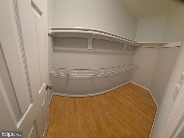 spacious closet featuring wood finished floors