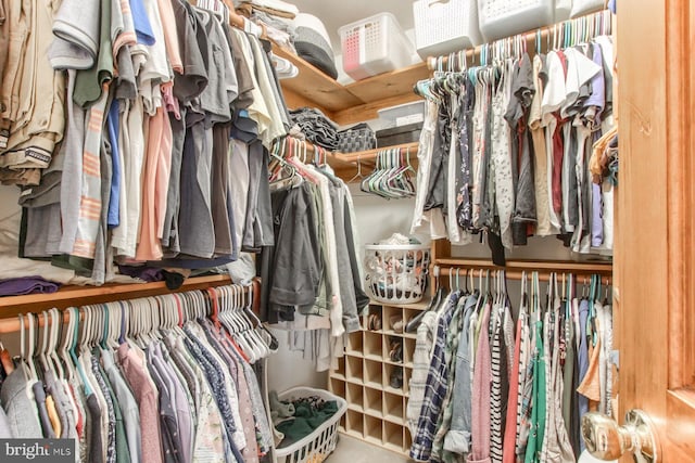 view of spacious closet