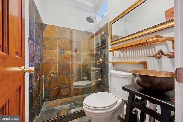 bathroom with stone tile floors, toilet, ornamental molding, a walk in shower, and a sink