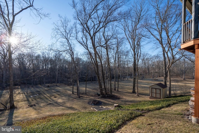 view of yard with a balcony, a storage shed, and an outdoor structure