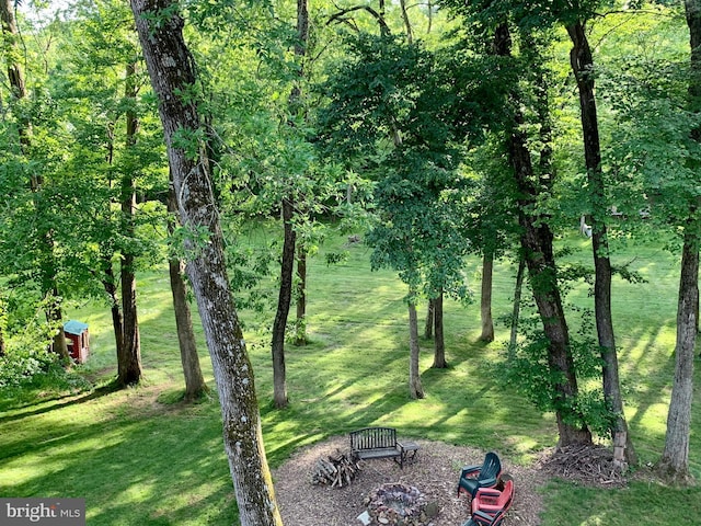 view of yard featuring an outdoor fire pit