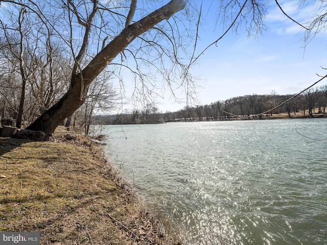 property view of water with a wooded view