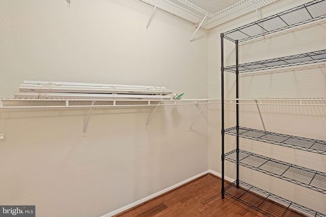 walk in closet featuring wood finished floors