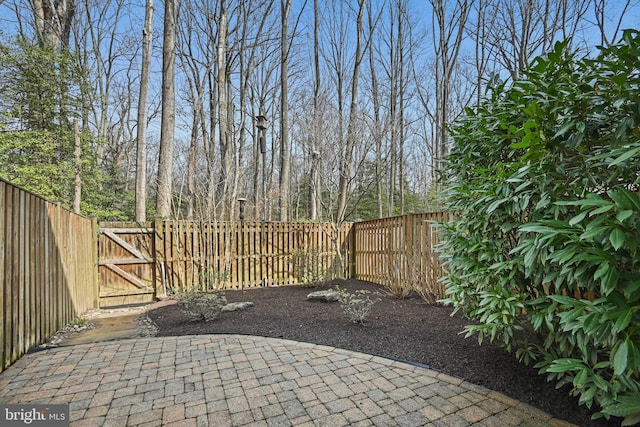 view of patio with a fenced backyard and a gate