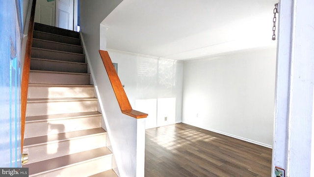 staircase featuring wood finished floors