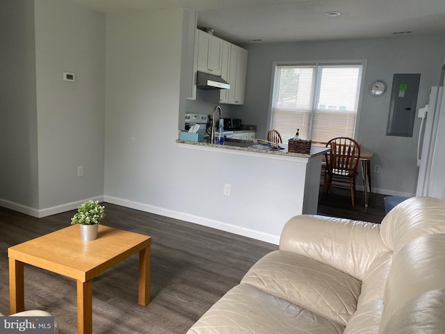 living room with dark wood-type flooring and baseboards