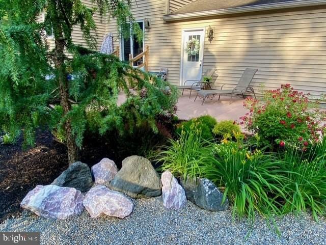 exterior space with a patio area