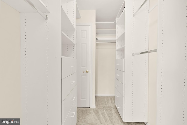 spacious closet with light colored carpet