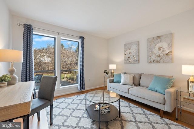 living area featuring baseboards and wood finished floors