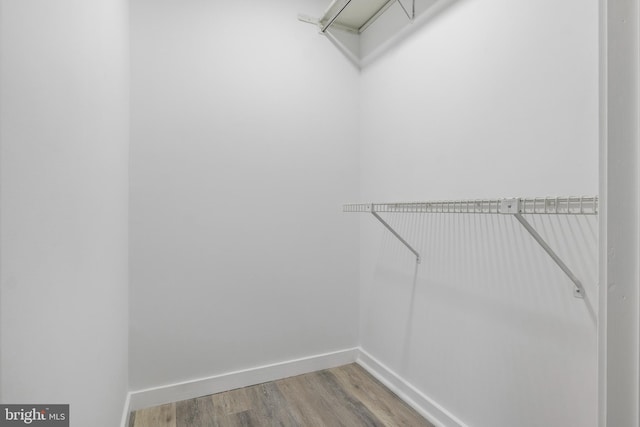 walk in closet featuring wood finished floors