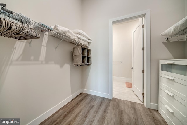 walk in closet with light wood finished floors