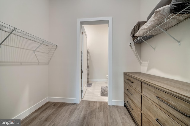 walk in closet with light wood finished floors